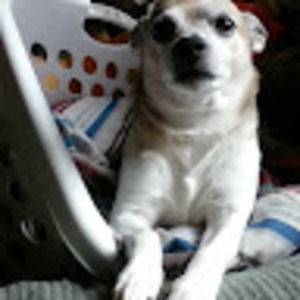 Meet your Posher, Joanne